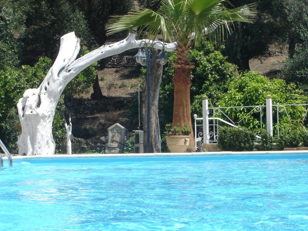 Appartement Golden Sun à Parga Extérieur photo